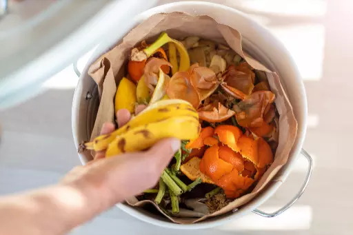 A kitchen food waste bin showing kitchen scraps ready to be recycled